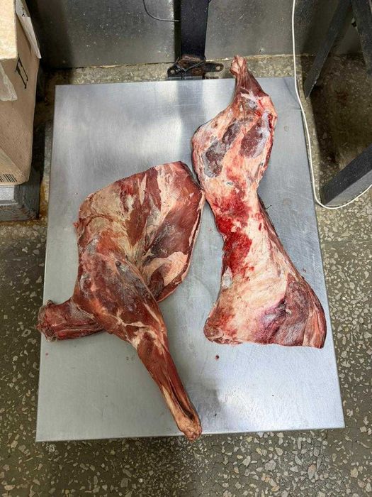 туша сайги доставка