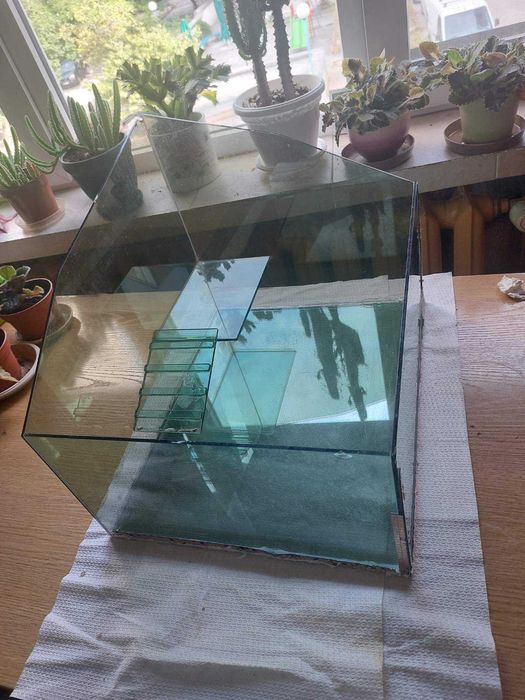 Аквариум за влечуги