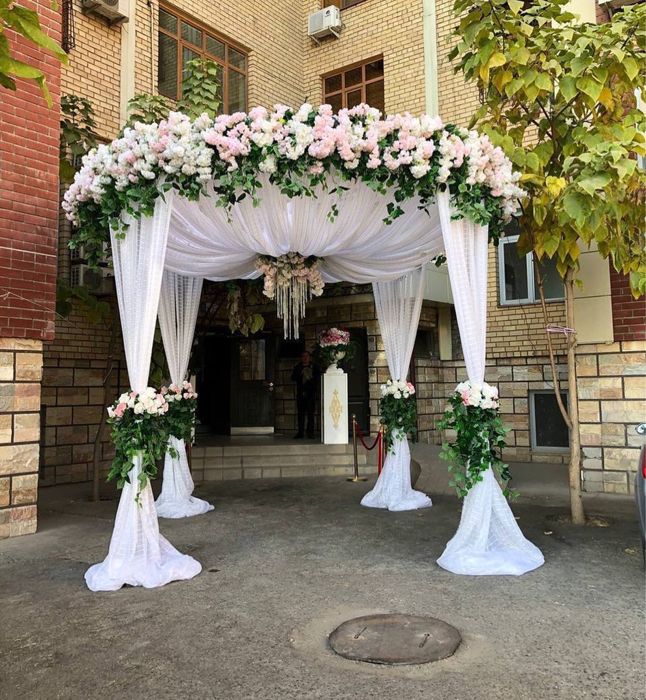 Ховли ва подъезд безаклари