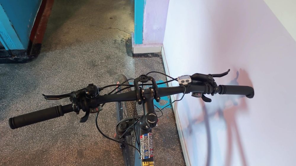 Bicicleta Nakamura Zero 29