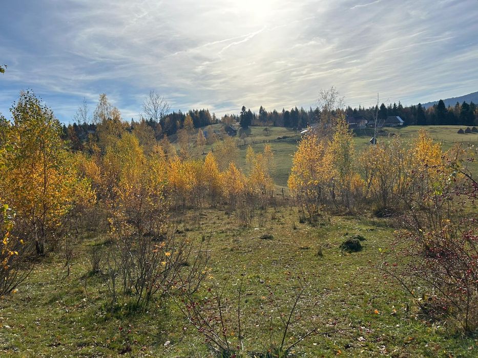 vând teren in Călățele Padure