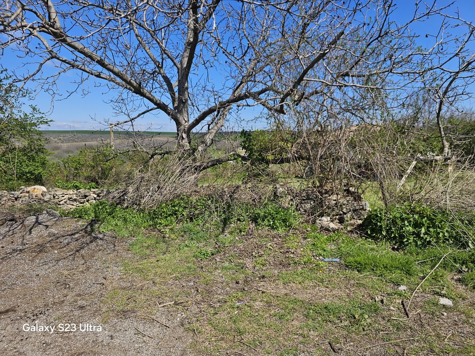 Продава се Къща в с. Петров дол, Област Варна - 2500 кв.м за 12 €/кв.м - Снимка #8