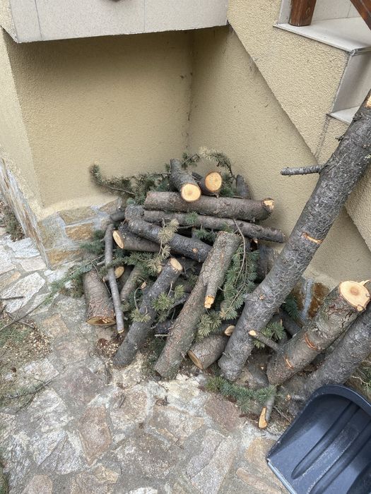 Дървесина от Ливански кедър