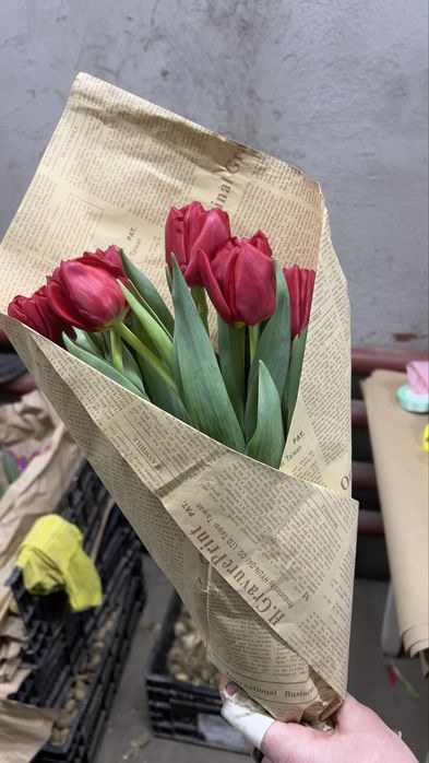 Тюльпаны к 8 марта оптом из теплицы