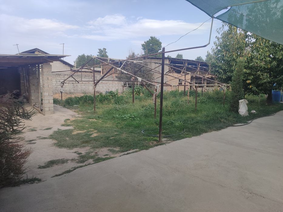 Yer uchastka 7 sotik ,ortachrchiq tumani avangard