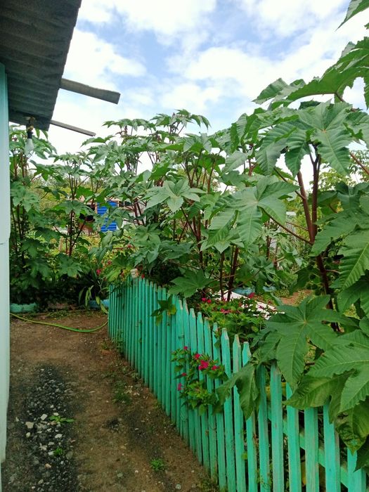 Продам дом срочно