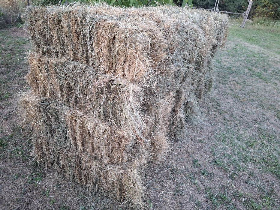 Baloti dreptunghiulari otava de livadă