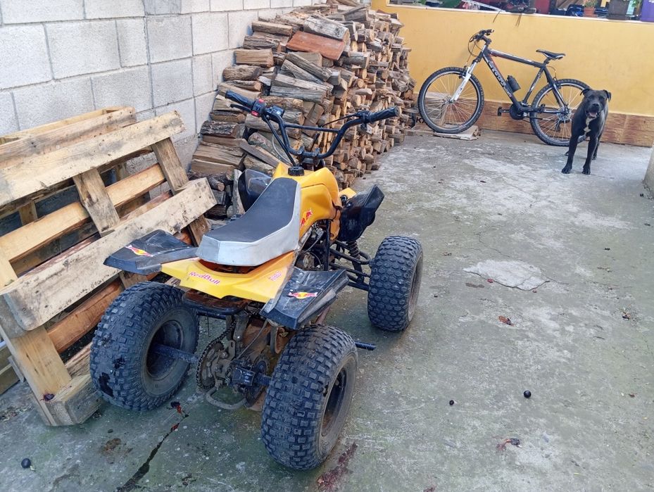 Китайско АТВ 110cc