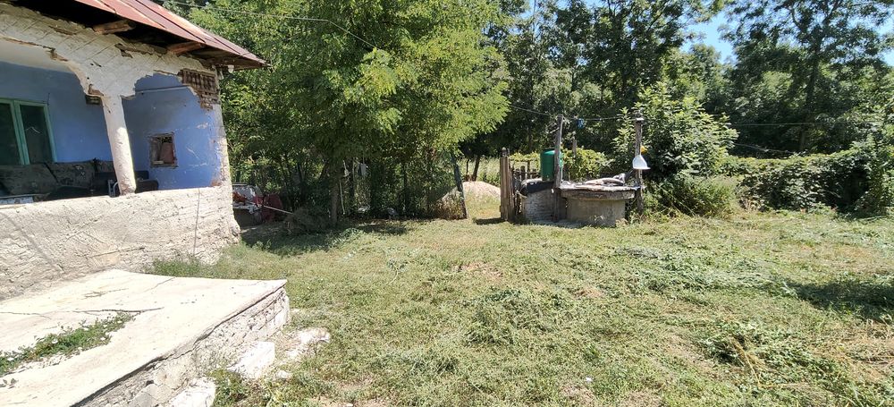 Casa Bătrânească cu teren 1600m2