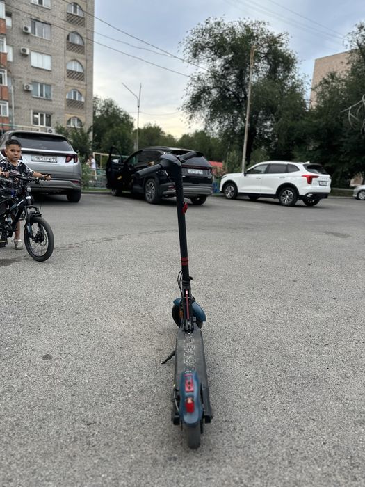 Электросамокат Tribe