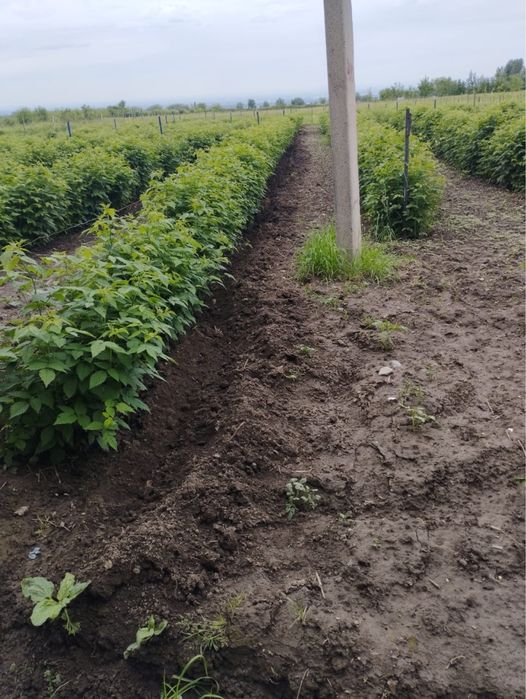 Участок к/х 20сотак