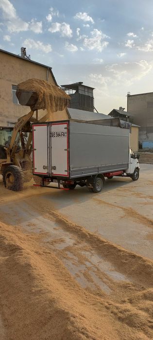 Шоли почок йетказиб берамиз