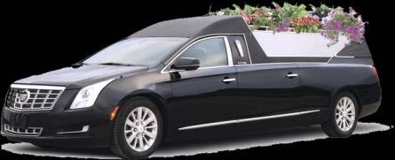 Катафалка 2008г.