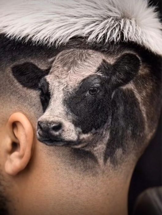 Говядина Конина Баранина !!!