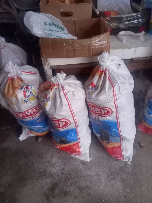 Капкан нан бар патирлер