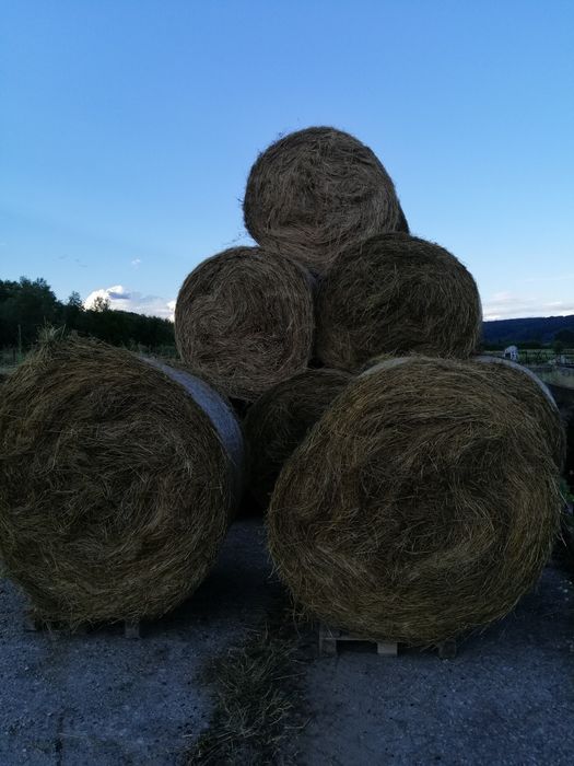 De vânzare baloti rotunzi lucerna, lucerna cu semnătura, pae