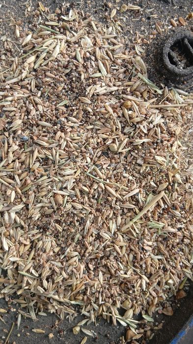 Зерноотходы в мешках сухой