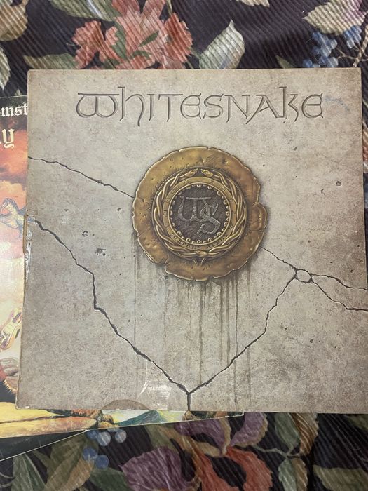 Нови грамофонни плочи