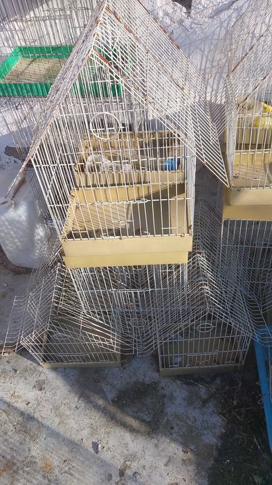 Клетки запапагали Нови не използвани комплект с поилки