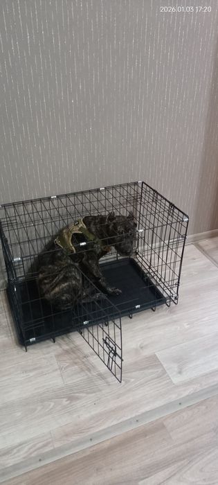 Клетка для собак