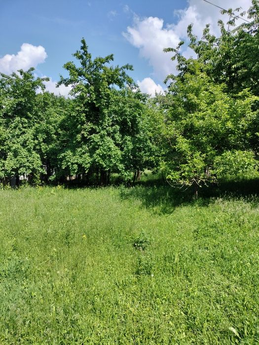 Teren Ipotești  Suceava