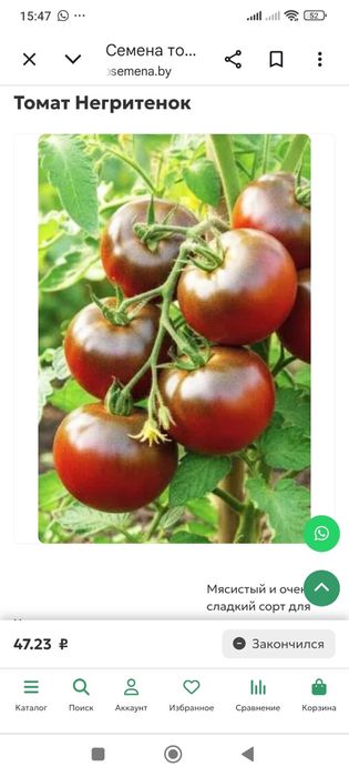 Продам рассаду сортовых помидор!*