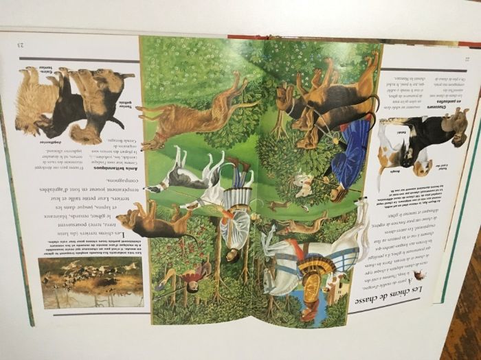 2 детски книжки на френски и английски език Les Chiens кучета