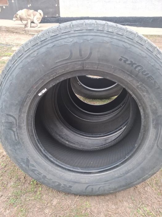 Резина rodex летняя