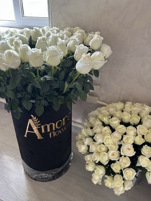 Гул свежии 101 екі түрлі біреуі үлкен екінгісі 70 см свежи