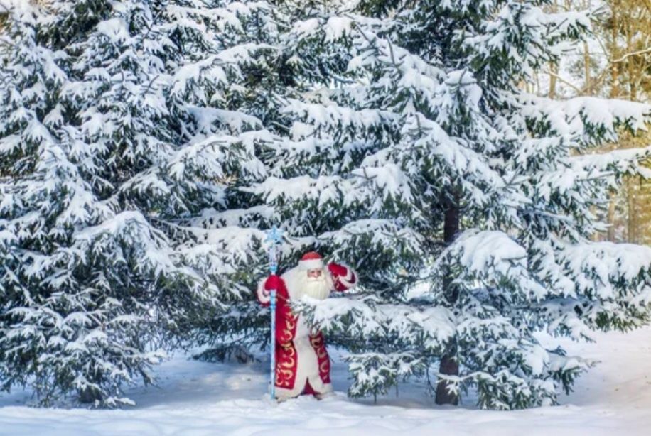 Дед Мороз и Снегурочка