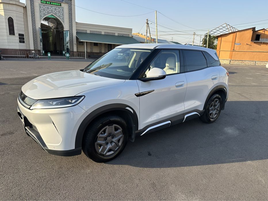 BYD yuan up. elektor