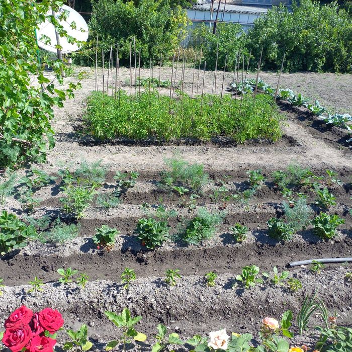 Продается дом с участком г.Каратау