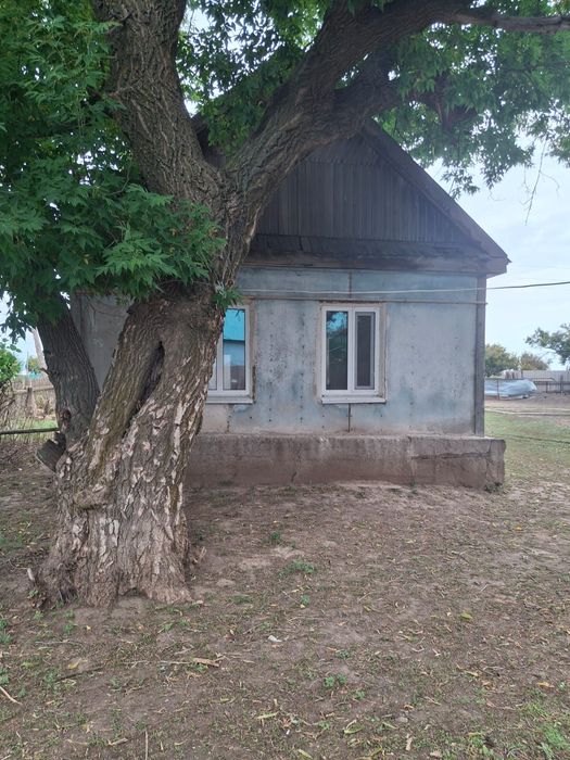 Продам дом в сельской местности