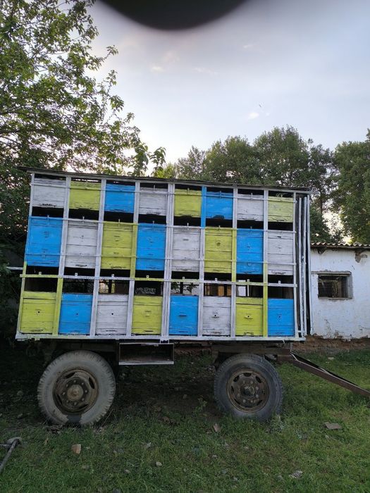 АсалариПрицеп Aрава Тележка AsalariPrisep