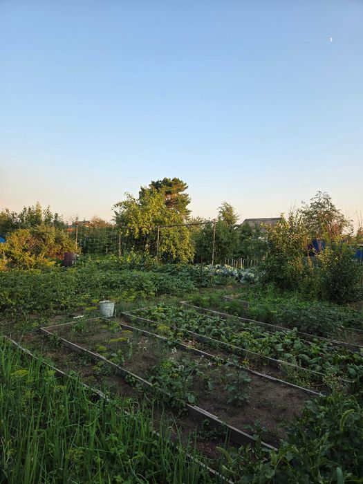 Продам дачу двенадцать соток