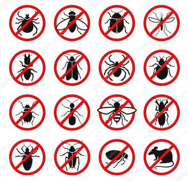 samarqand_dezinfeksiya_xizmati