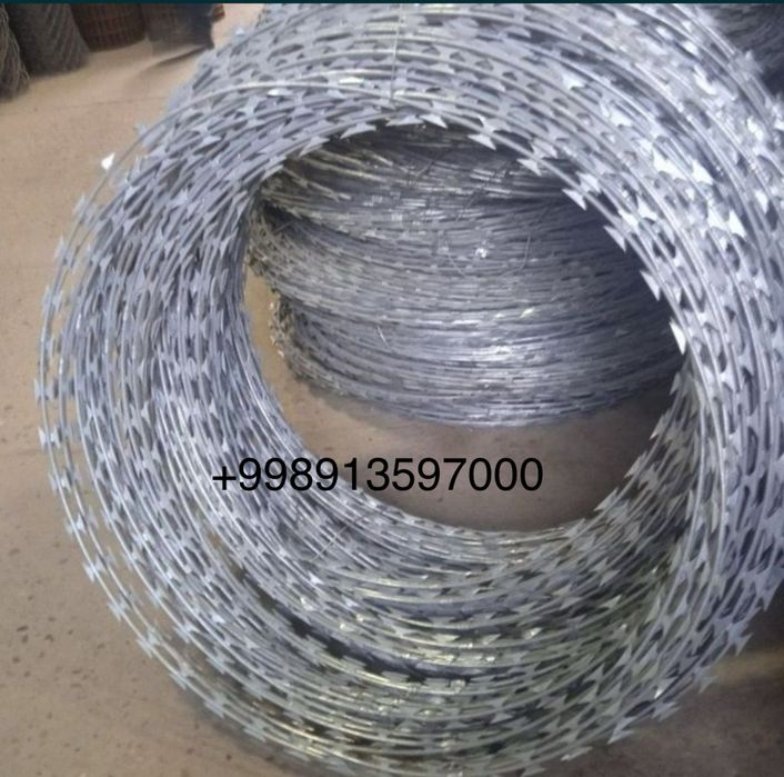 Егоза. Егоза. Egoza.