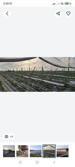 Продается. 5. гектаров.  ( Уртачирчик).   550000 уе.  договор.