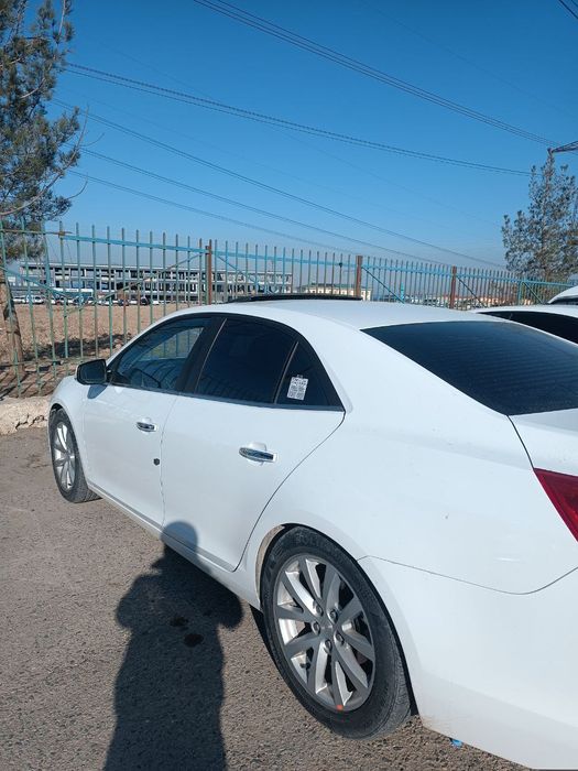 Malibu 1 cотилади