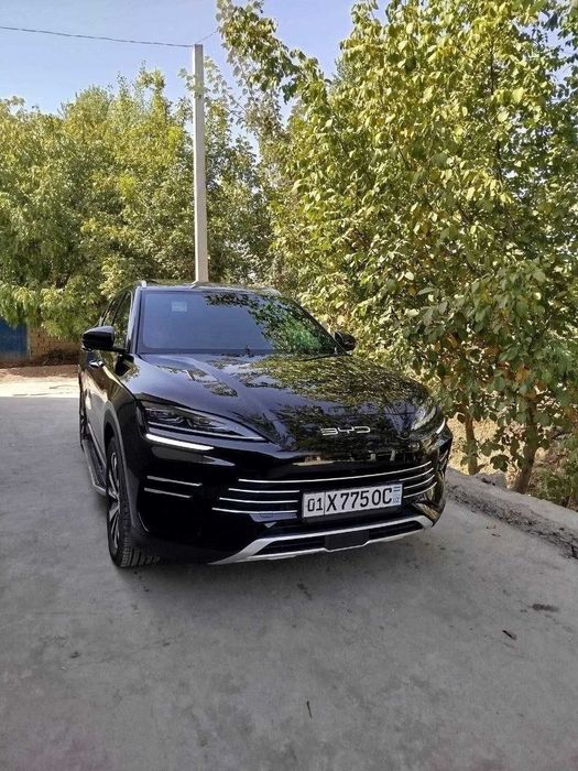 BYD CHAMPION Гибрид 150км FULL Позиция