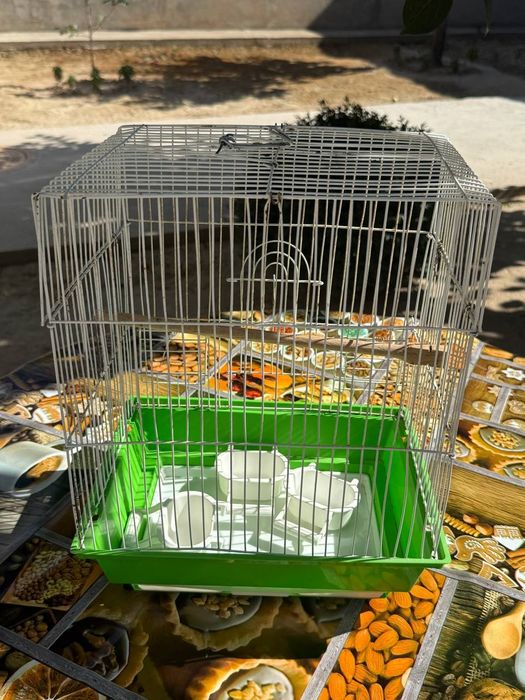 Птицы домики использование