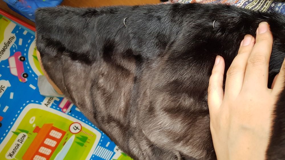 Норковая шуба идеальная