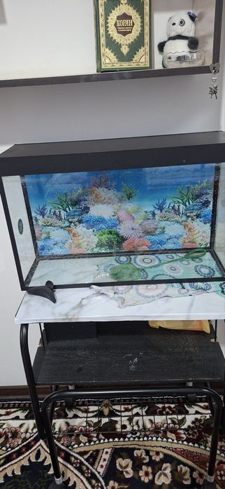Аквариум для рыб