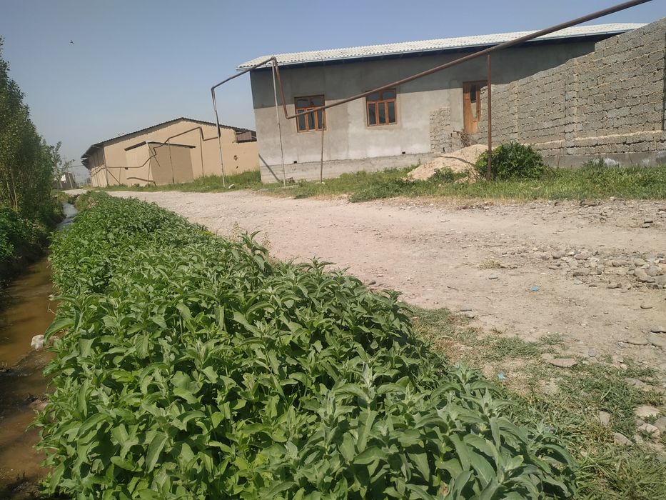 Участка сотилади Янгийул тумани,11 сотих