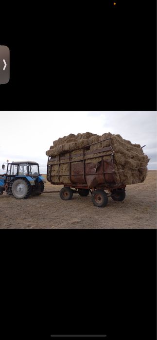 Продам сено тюкованное.