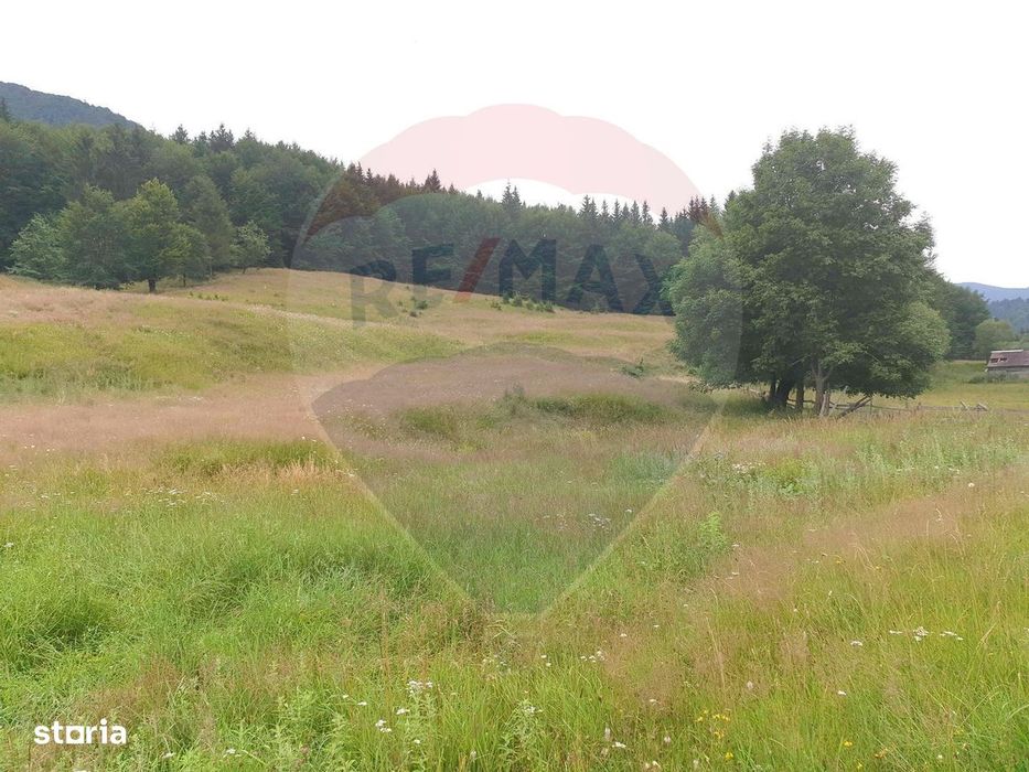 Teren 20000 mp, sat Dalghiu, com Vama Buzaului