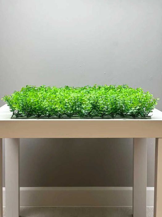 Декор для дома и офиса | Фитостена