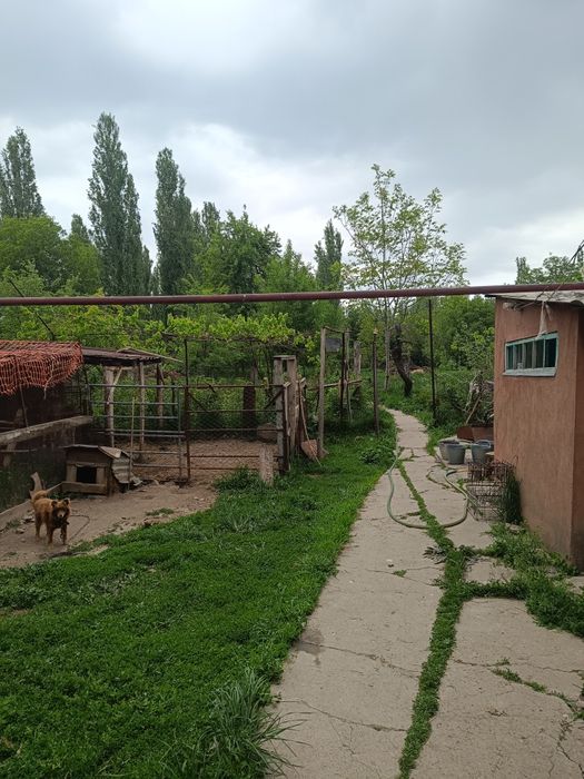 Продается дом в поселке Тастумсык