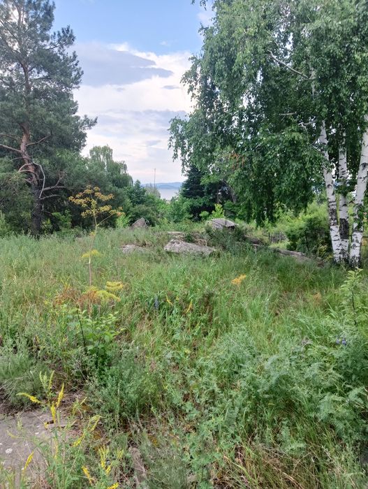 Продам участок на Бухтарме.