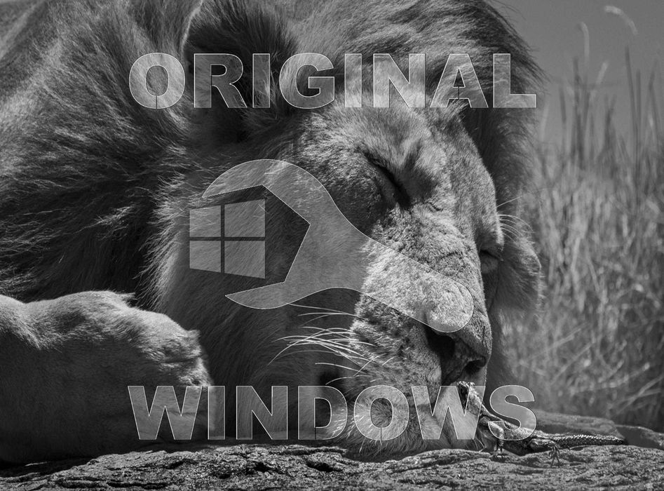 Виндус 11 | 10 лицензионный и программой офис для Windows